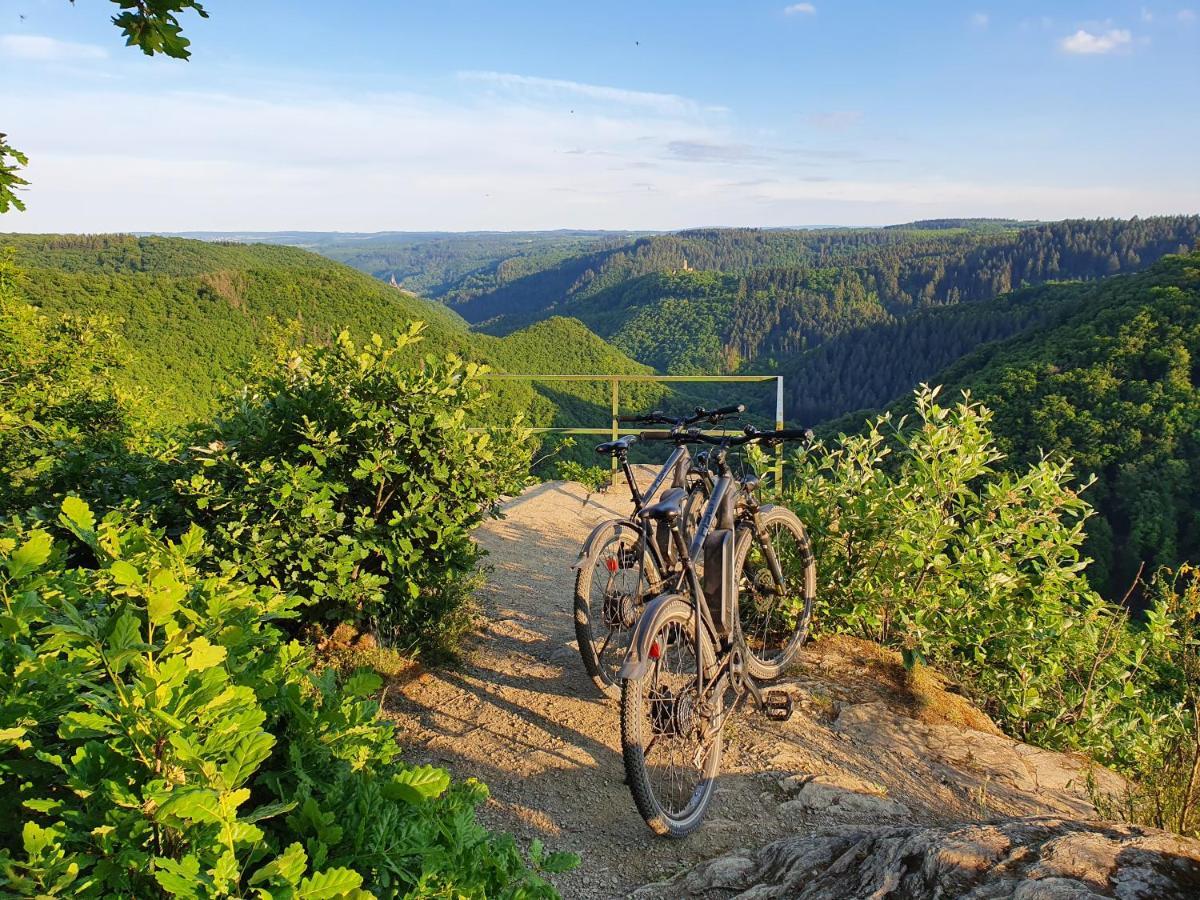 Apartament Moselfeeling Co2Frei Cochem Zewnętrze zdjęcie